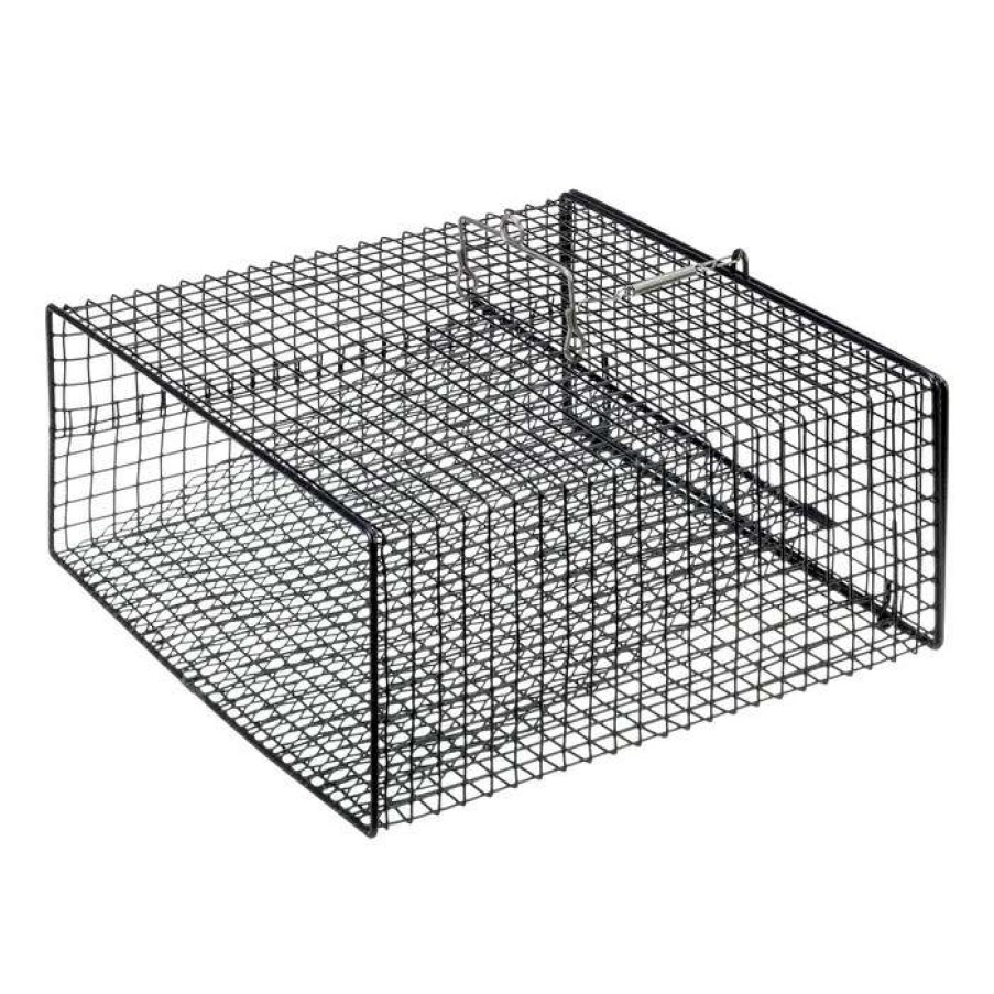 Saltwater * | Online Bass Pro Shops Rectangle-Shaped Crawfish Trap