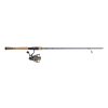 Fishing * | Sales Pflueger President Fenwick Eagle Combo